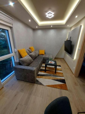 Apartman Davidovic MD 1 Divcibare